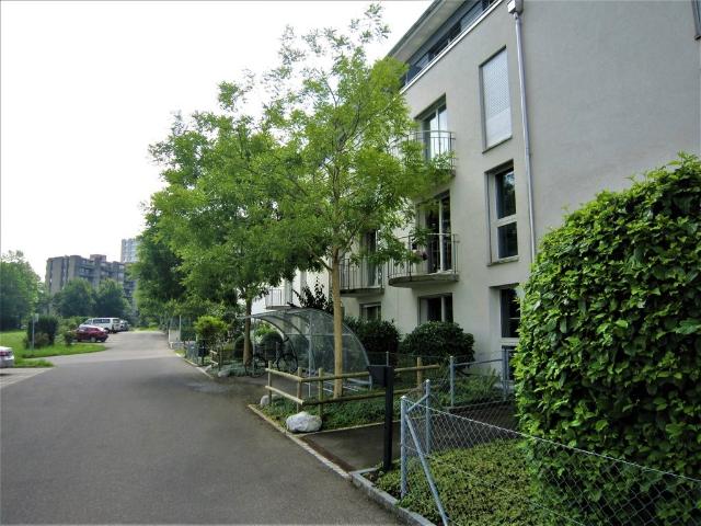 Apartment mieten in Köniz, Bern