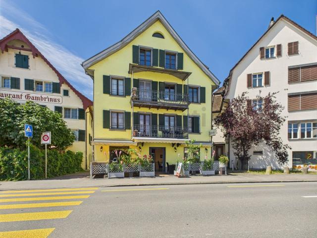 Apartment mieten in Wädenswil, Bezirk Horgen