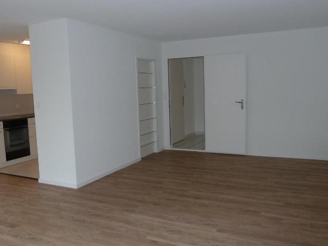 Apartment mieten in Wädenswil, Zürich