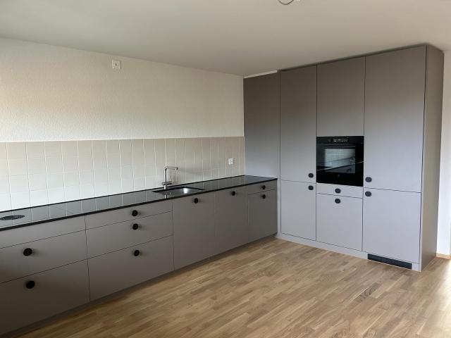 Apartment mieten in Wädenswil, Bezirk Horgen