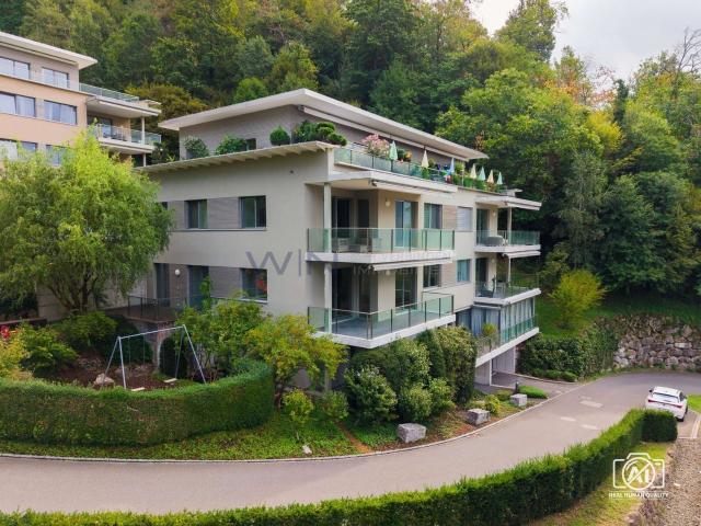 Apartment mieten in Walchwil, Zug