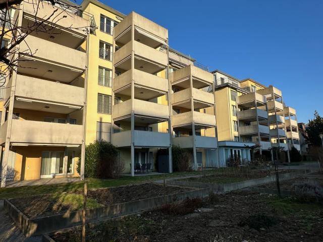 Apartment mieten in Wallisellen, Zürich