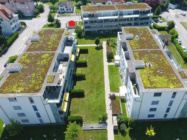 Apartment mieten in Weinfelden, Bezirk Weinfelden