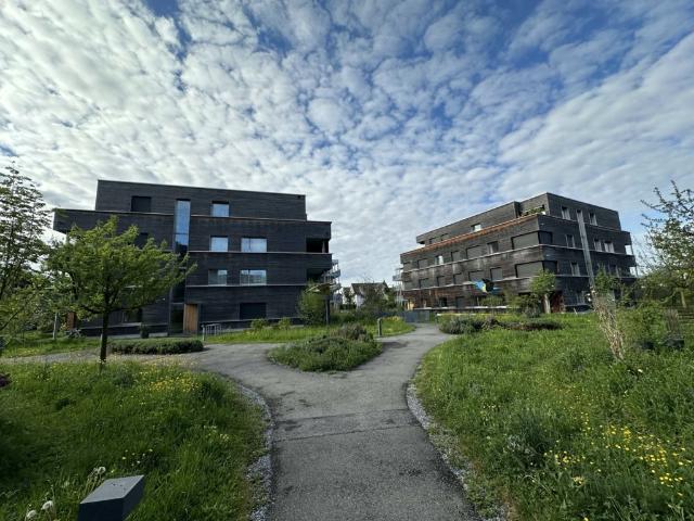 Apartment mieten in Widnau, St. Gallen