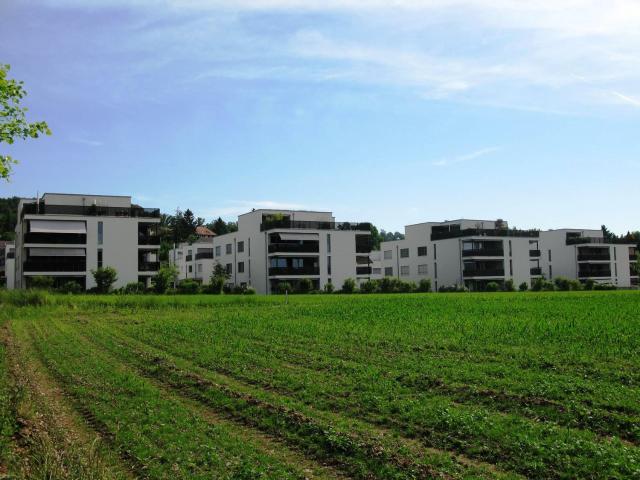 Apartment mieten in Wiesendangen, Zürich