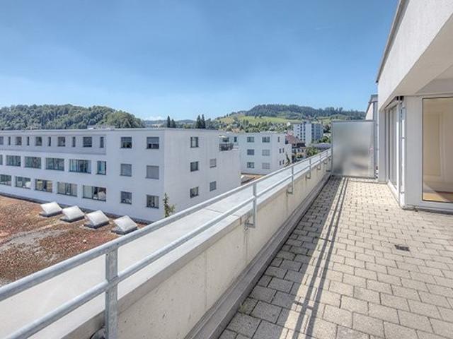 Apartment mieten in Willisau, Lü