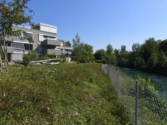 Apartment mieten in Windisch, Aargau