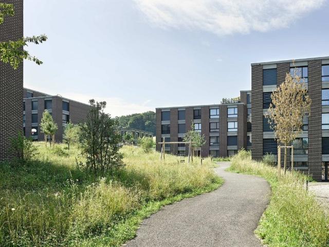 Apartment mieten in Winkel, Zürich