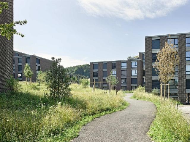 Apartment mieten in Winkel, Zürich