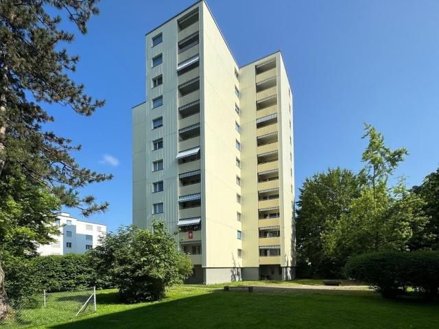 Apartment mieten in Waser, Winterthur