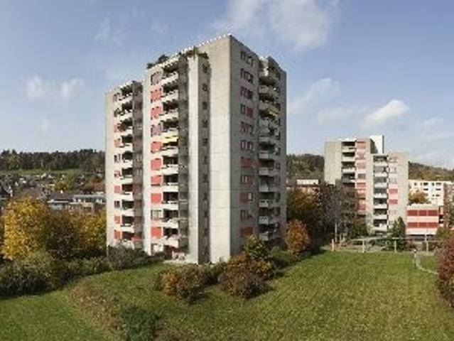Apartment mieten in Winterthur, Zürich