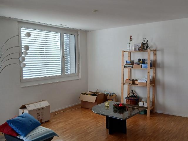 Apartment mieten in Guggenbühl, Winterthur