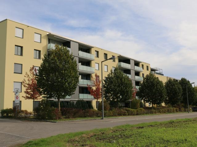 Apartment mieten in Zinzikon, Winterthur