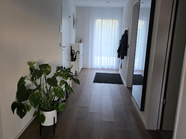 Apartment mieten in Wohlen (AG), Aargau