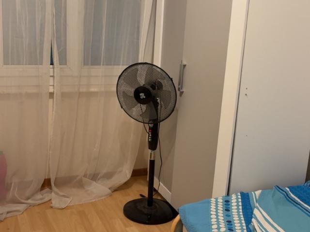 Apartment mieten in Yverdon-les-Bains