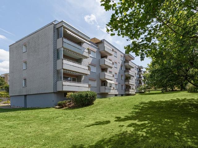 Apartment mieten in Zofingen, Aargau