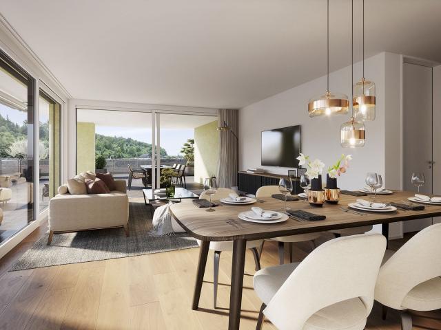 Apartment mieten in Zofingen, Aargau