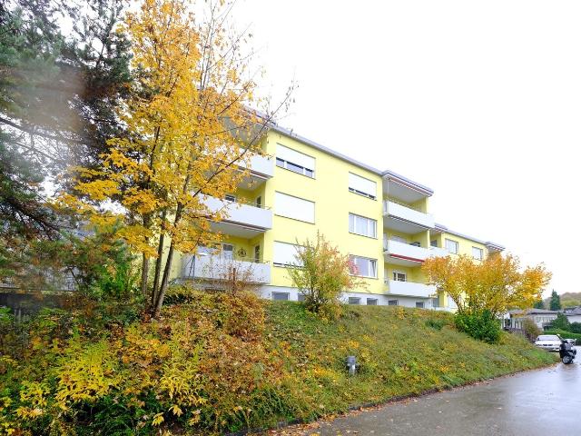 Apartment mieten in Zufikon, Aargau