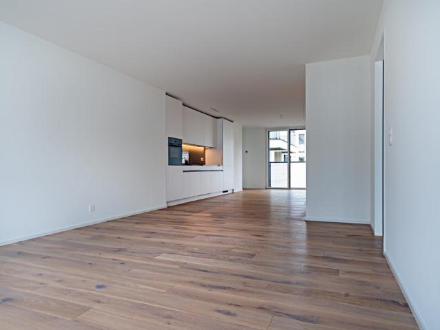 Apartment mieten in Neustadt, Zug