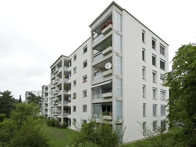 Apartment mieten in Waltikon, Zumikon