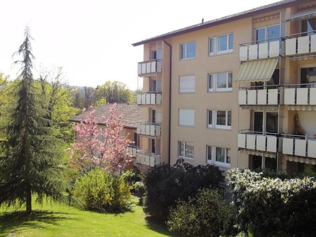 Apartment mieten in Einigen, Zürich