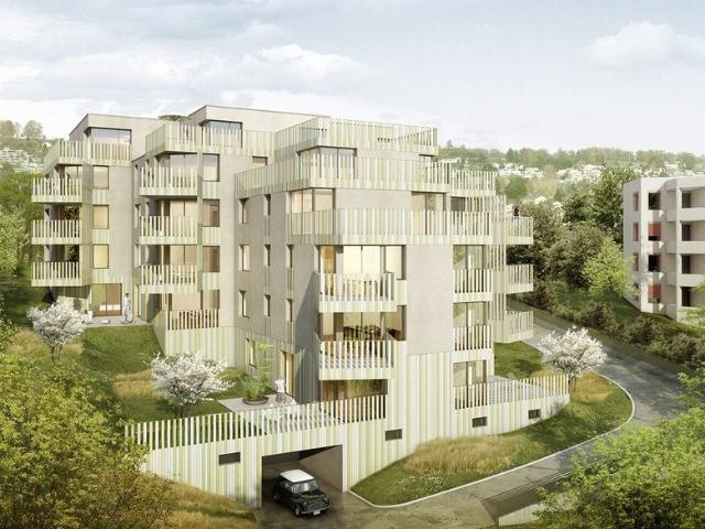 Apartment mieten in Einigen, Zürich