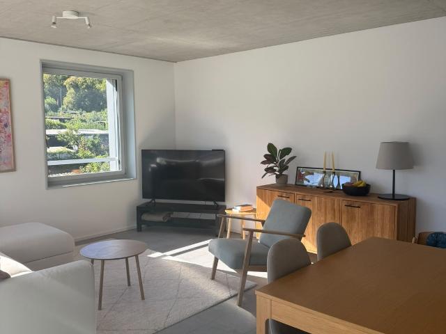Apartment mieten in Einigen, Zürich