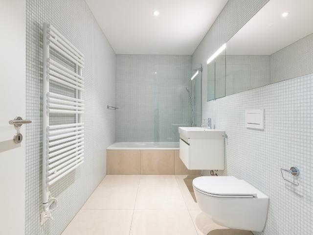 Apartment mieten in Einigen, Zürich