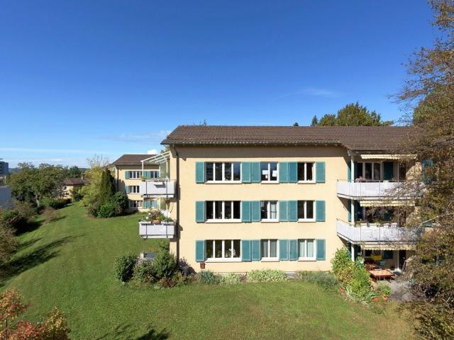 Apartment mieten in Einigen, Zürich