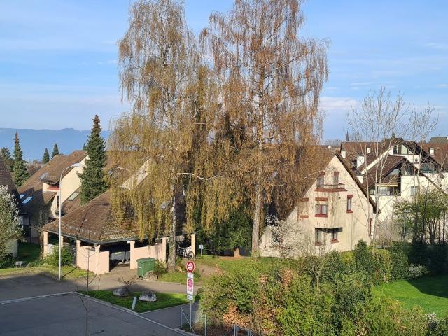 Apartment mieten in Einigen, Zürich