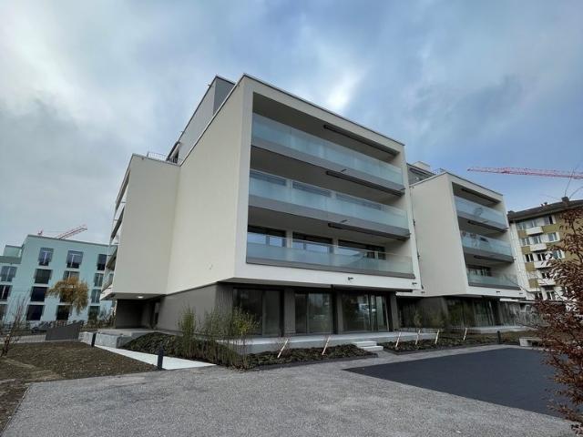 Apartment mieten in Einigen, Zürich