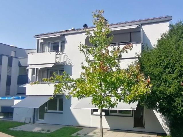 Apartment mieten in Einigen, Zürich