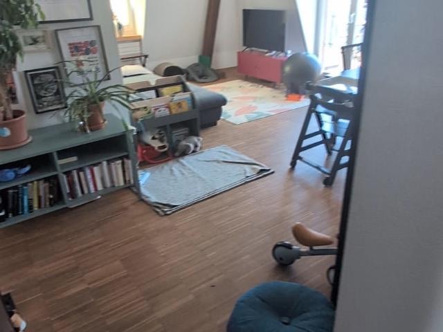 Apartment mieten in Einigen, Zürich