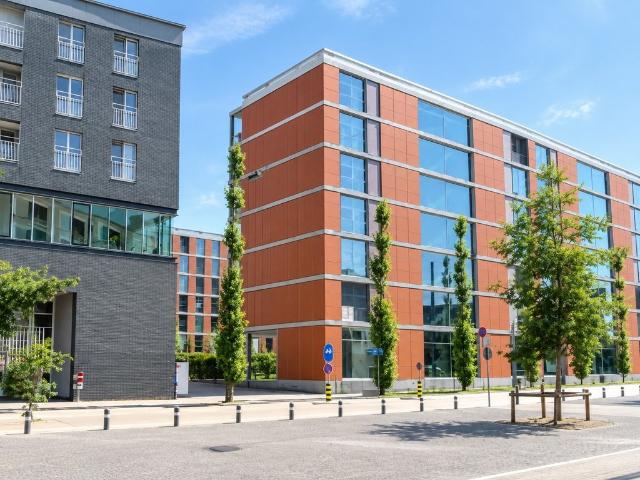 Apartment mieten in Einigen, Zürich