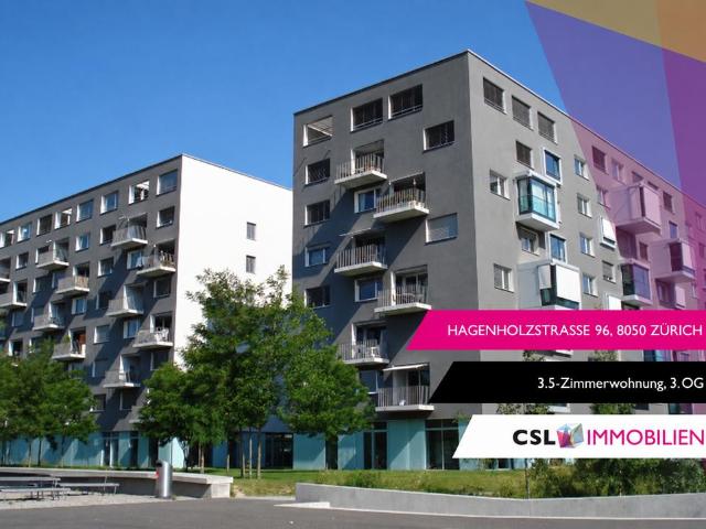 Apartment mieten in Seebach, Zürich