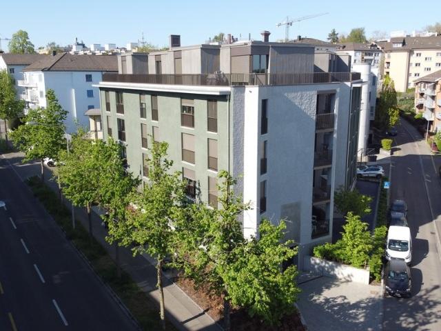 Apartment mieten in Einigen, Zürich