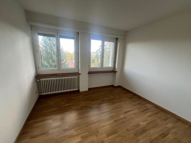 Apartment mieten in Sihlfeld, Zürich