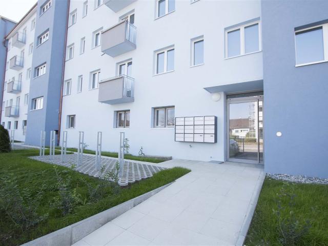 Apartment mieten in Einigen, Zürich