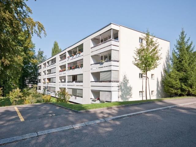 Apartment mieten in Affoltern, Zürich