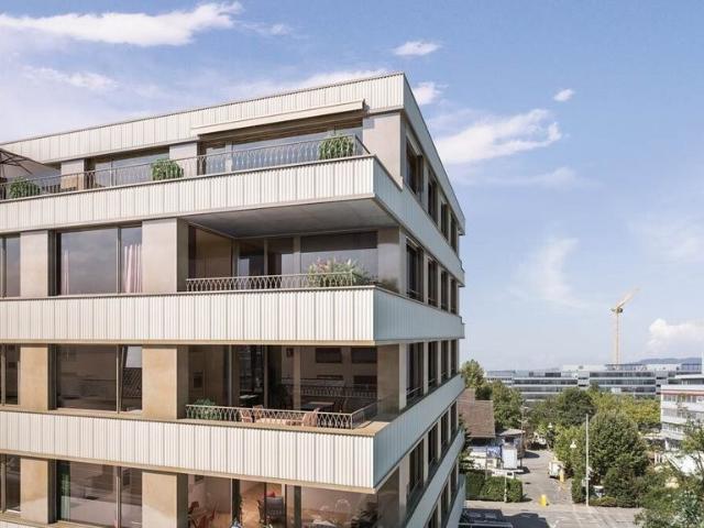 Apartment mieten in Einigen, Zürich