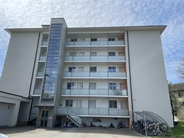 Apartment mieten in Einigen, Zürich