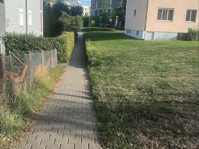 Apartment mieten in Einigen, Zürich