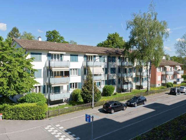 Apartment mieten in Schwamendingen Mitte, Zürich