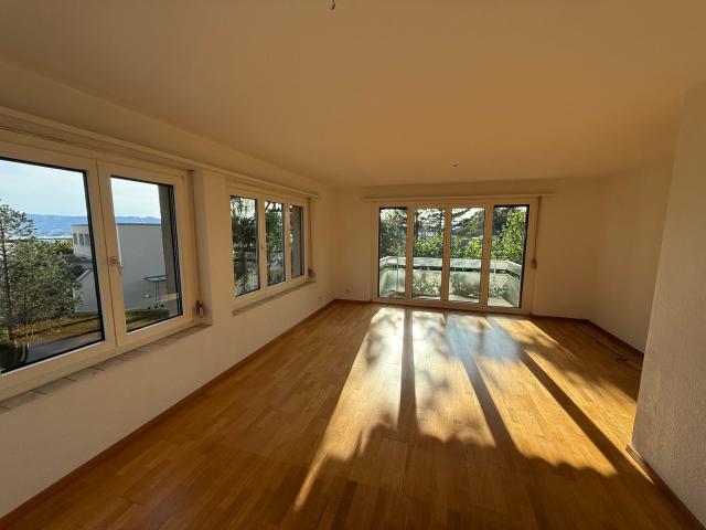 Apartment mieten in Einigen, Zürich