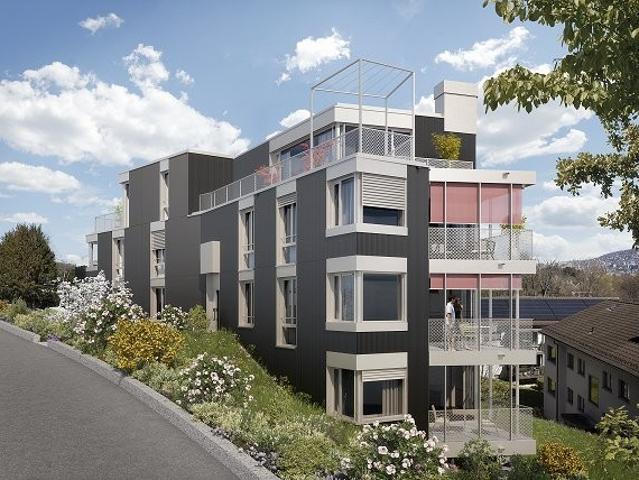 Apartment mieten in Einigen, Zürich