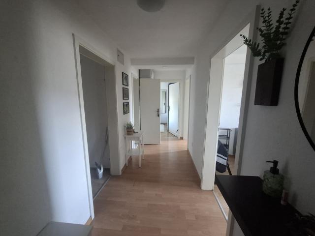 Apartment mieten in Hard, Zürich