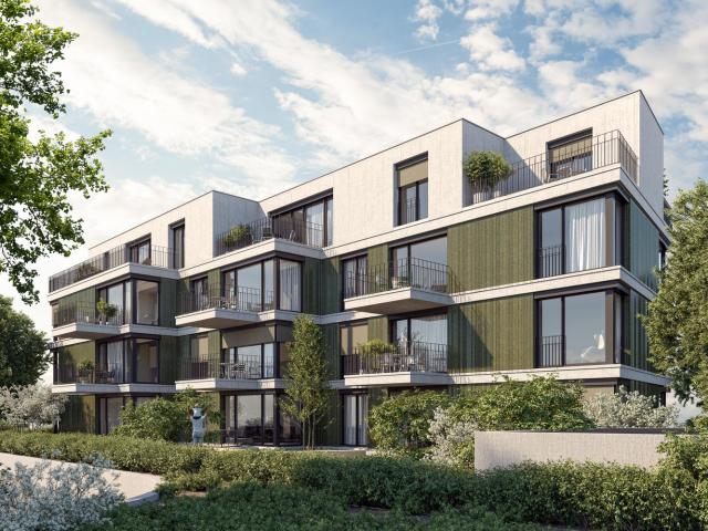 Apartment mieten in Einigen, Zürich
