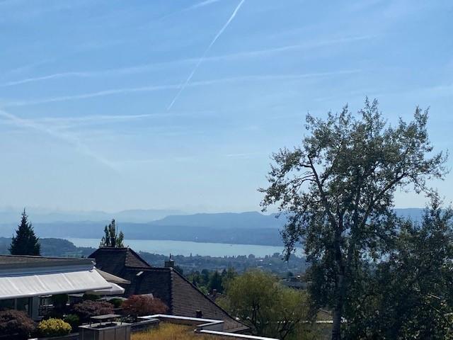 Apartment mieten in Einigen, Zürich