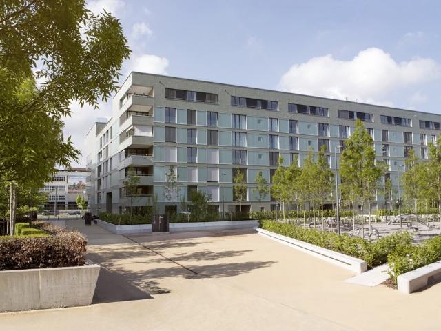 Apartment mieten in Einigen, Zürich