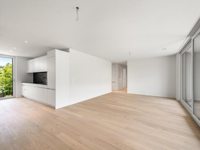 Apartment mieten in Einigen, Zürich